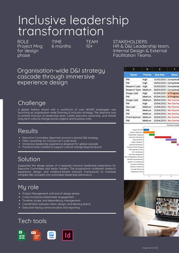 Transformation programme | Executive engagement | Project scoping | Delivery framework | Cross-functional PMO | Impact assessment